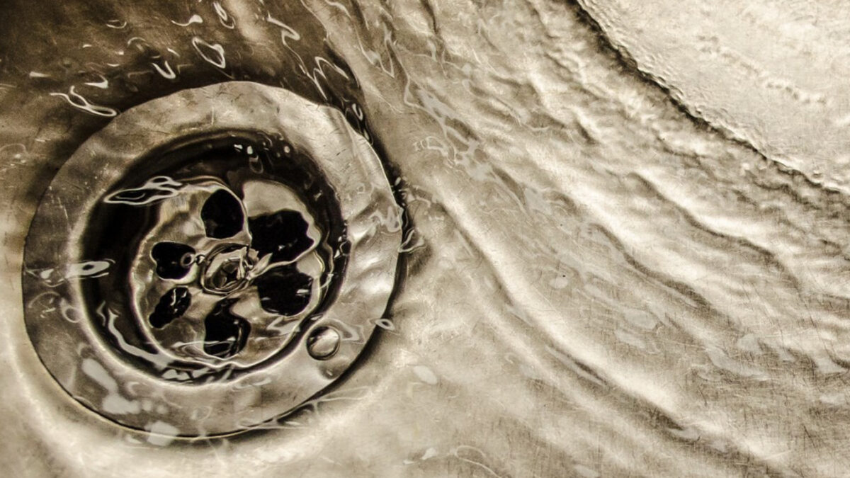 Le siphon: Un foyer de micro-organismes