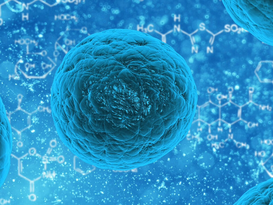 Quaternaire ammonium derivaten: vloek of zegen?